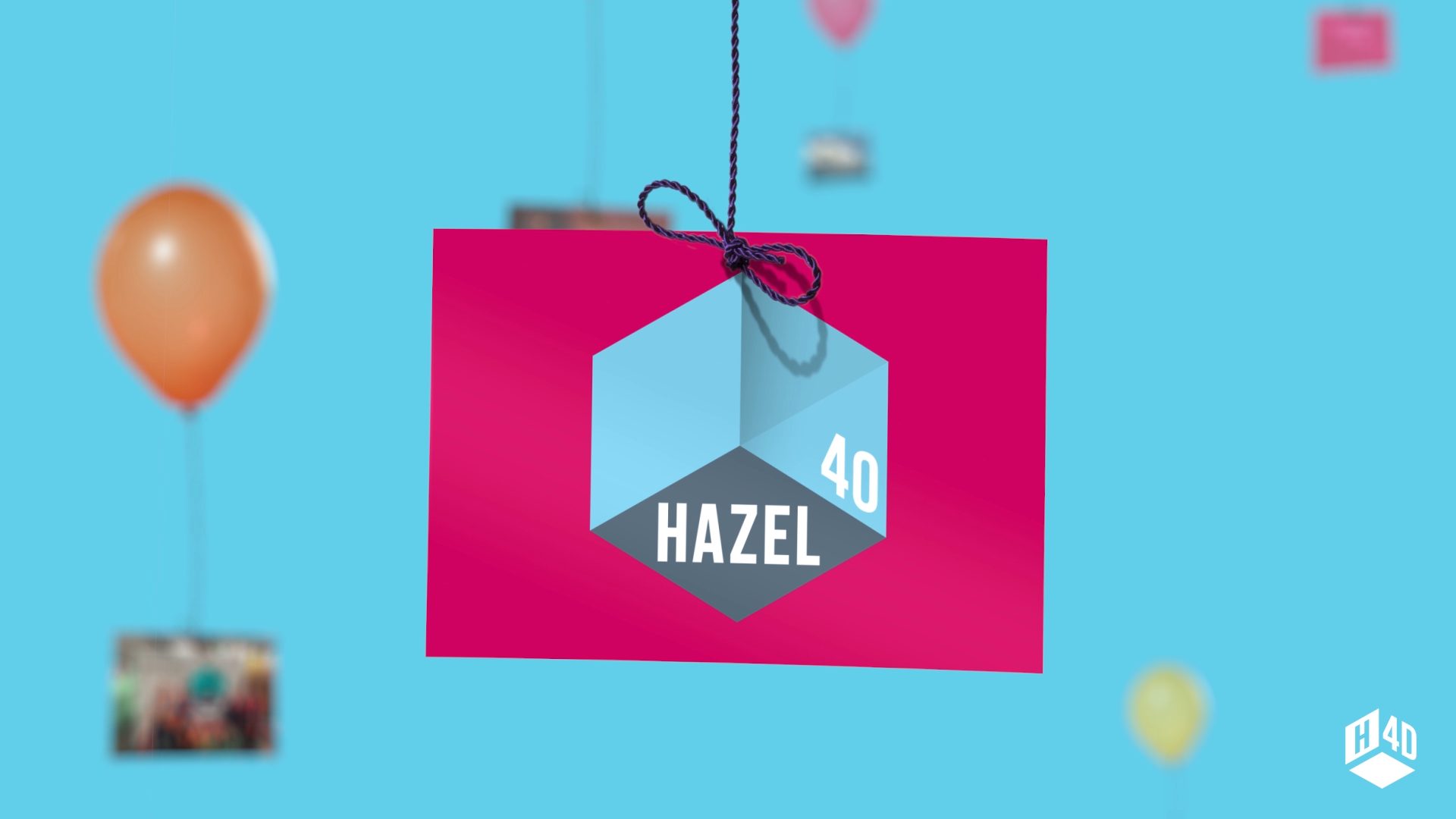 Hazel 4D logo