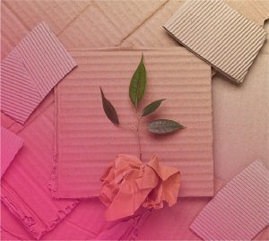 cardboard background and crumpled paper with sprig of leaves