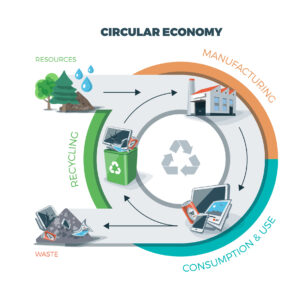 The Importance of Moving Towards A Circular Economy - Hazel 4D
